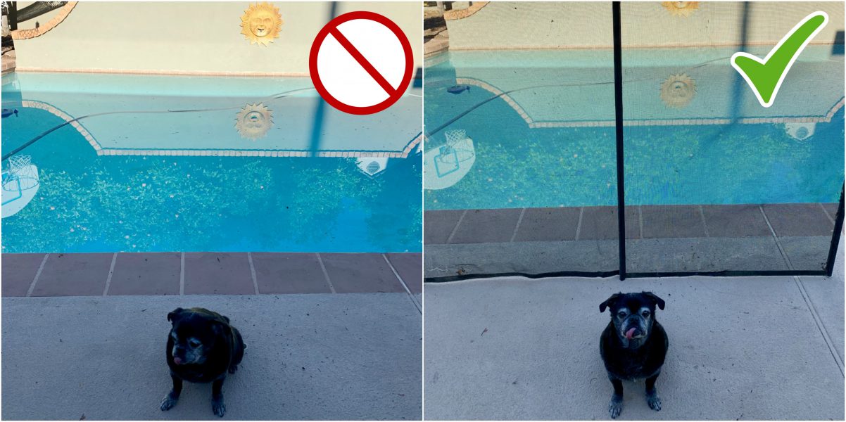 Torgenson Law Will Give You $500 If You Do This One Thing For Safety