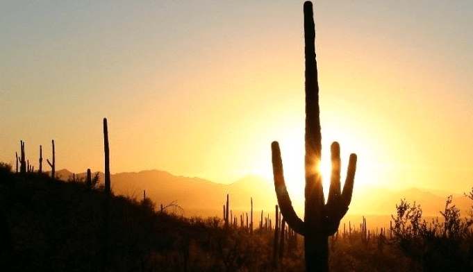 EYE-OPENING STATS FROM 2018 ARIZONA CRASH FACTS REPORT