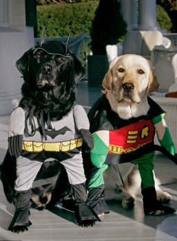DON’T LET INJURY SCARES RUIN YOUR HALLOWEEN: HERE’S HOW TO KEEP YOURSELF AND OTHERS SAFE THIS HALLOWEEN