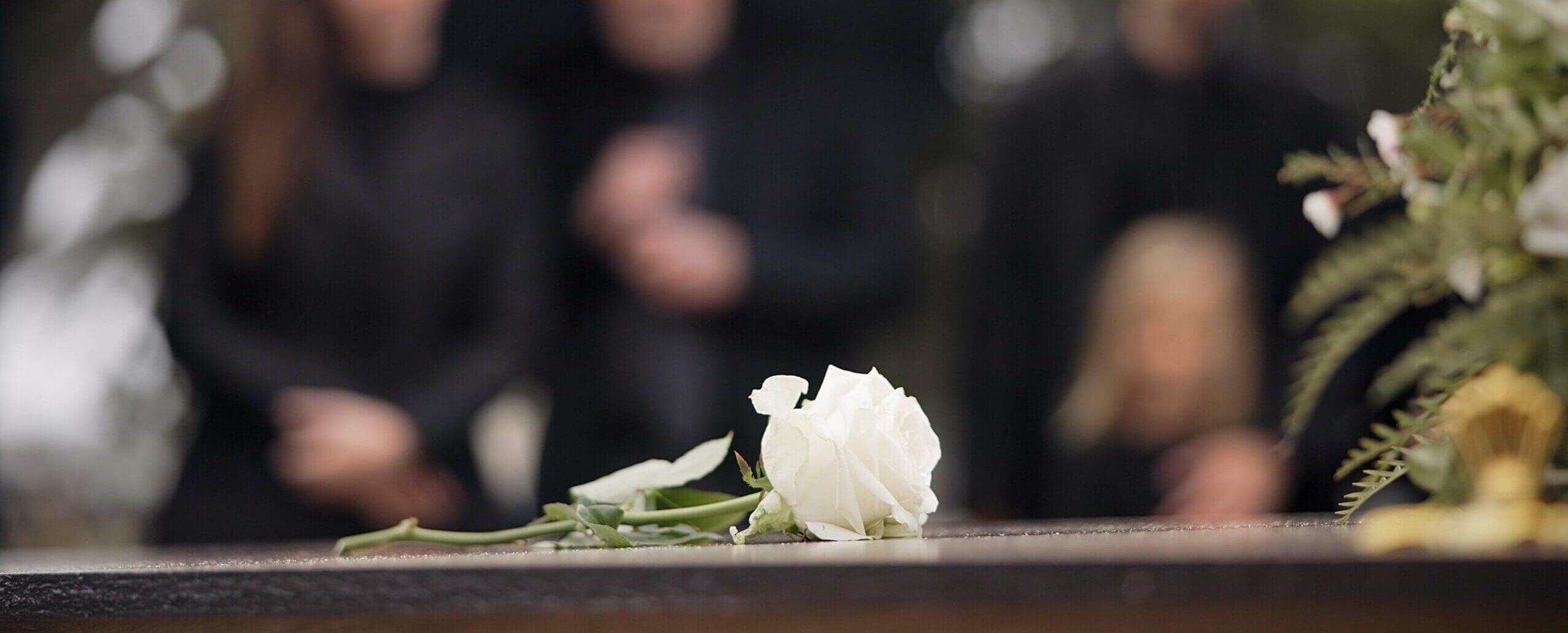 Rose,,Coffin,And,Funeral,At,Cemetery,Outdoor,At,Burial,Ceremony