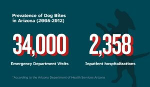 dog bites from Arizona stating 34,000 emergency visits and 2,358 hospitalizations from 2008-2012.