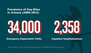 En Arizona se registran 34.000 visitas de emergencia y 2.358 hospitalizaciones entre 2008 y 2012.