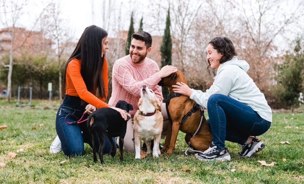 dog bite law arizona