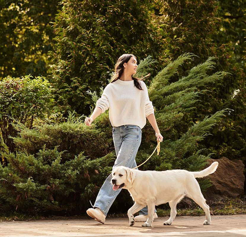 Una mujer con un suéter de color crema y unos jeans pasea a un labrador retriever de color amarillo por un camino del parque, manteniendo la precaución tras una mordedura anterior de perro.
