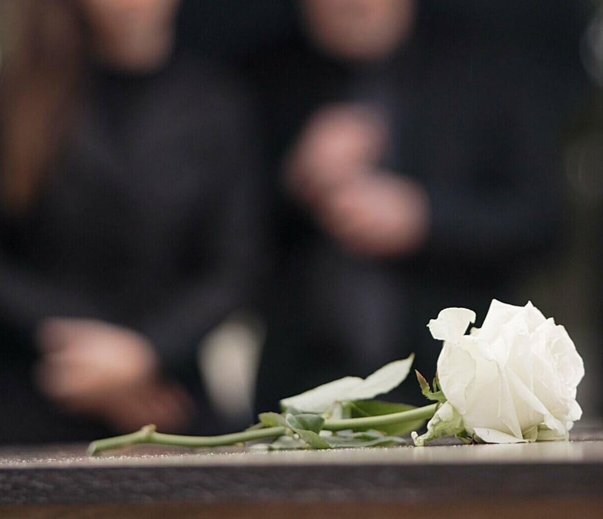 A single white rose lying on a surface, serving as a poignant symbol of wrongful death, with two blurred figures in dark clothing standing in the background.