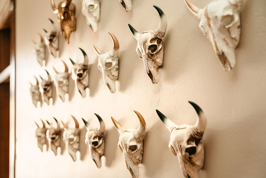 A wall decorated with many animal skulls mounted in rows.